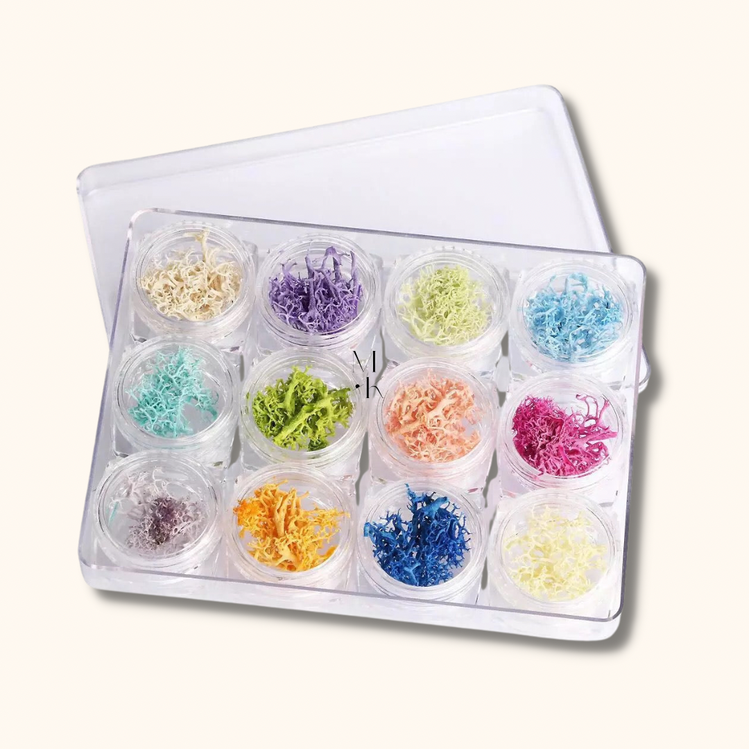 Seaweed Set