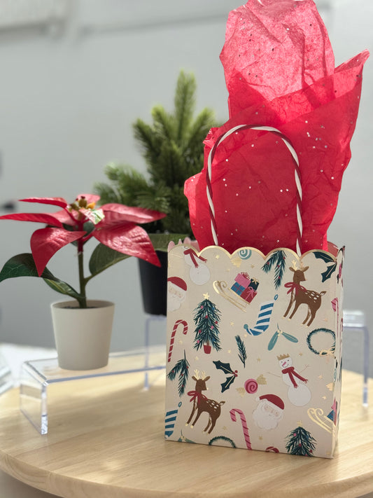 Christmas Bag