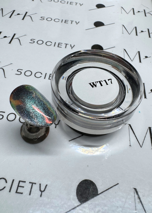 WT17