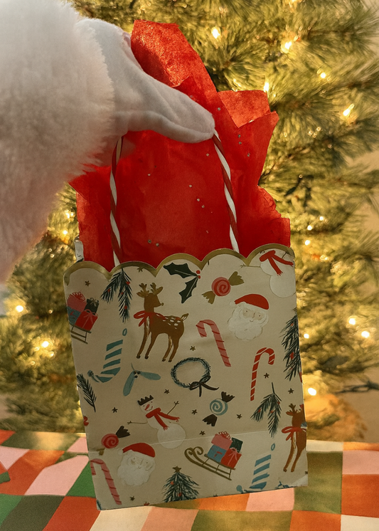 Christmas Bag