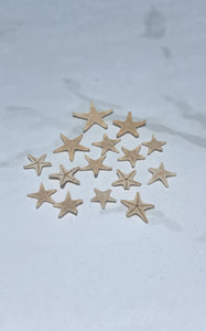 Mini Natural Sea Stars (15 pieces)