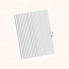 Load image into Gallery viewer, Strips
