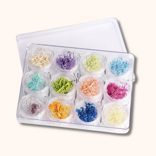 Seaweed Set